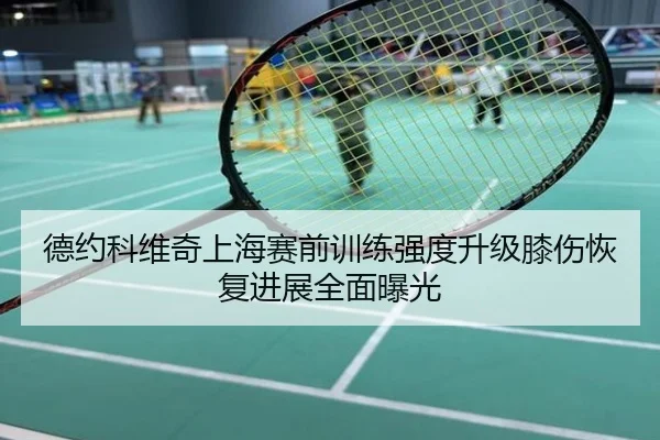 德约科维奇上海赛前训练强度升级膝伤恢复进展全面曝光