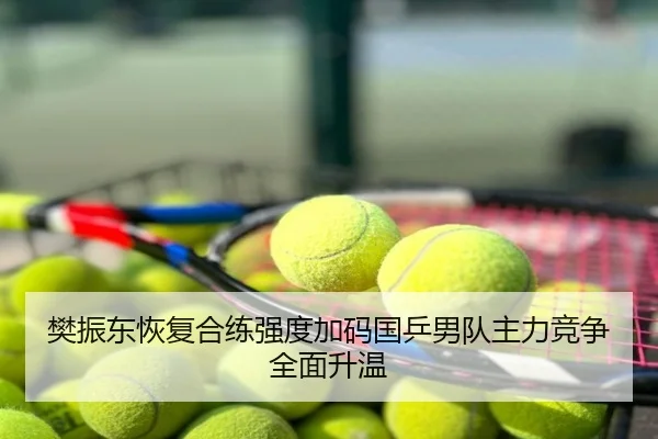 樊振东恢复合练强度加码国乒男队主力竞争全面升温